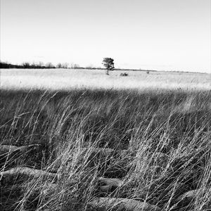 Meet your Posher, Alayna